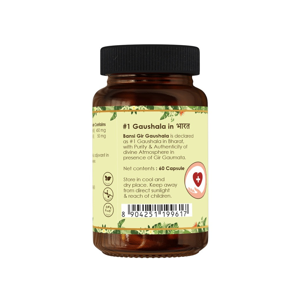 Dhavalamruta Capsule (60 Capsules) - High BP and Cholesterol