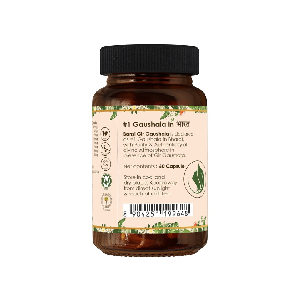 Saundarya Capsule (60 Capsules) - Skin Care | Glow