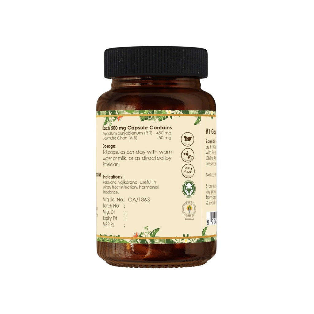 Shilajit Capsule (60 Capsules) - Improve Sexual Function