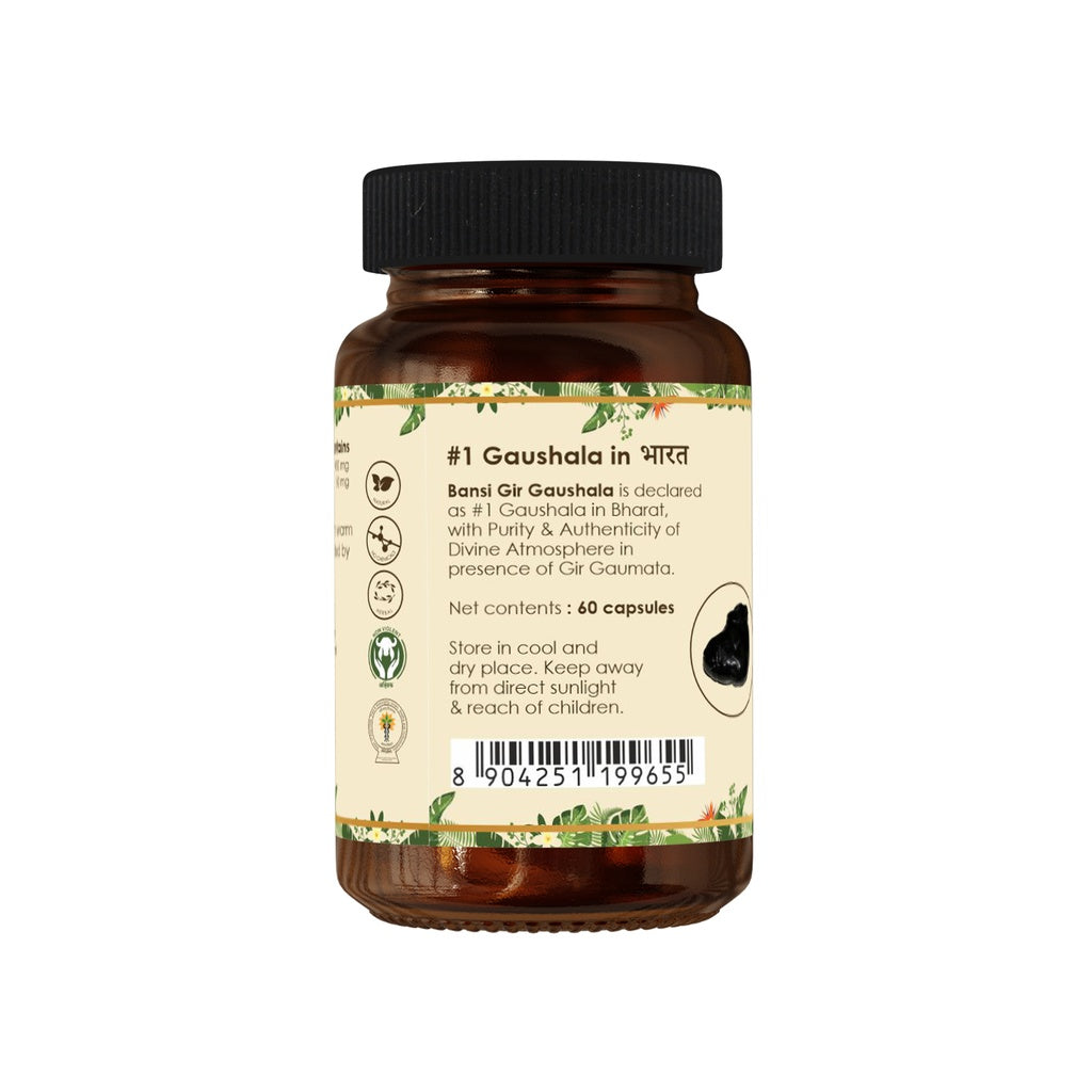 Shilajit Capsule (60 Capsules) - Improve Sexual Function