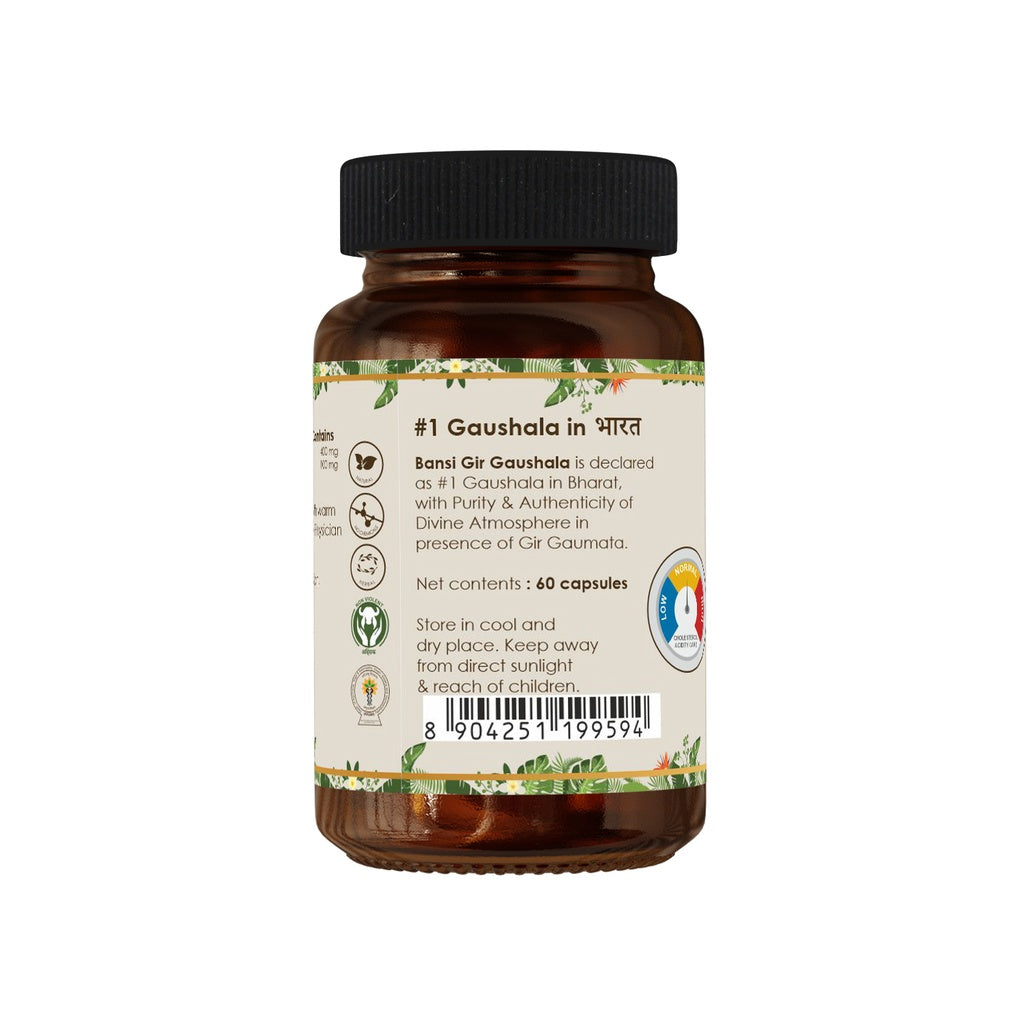 Sunthamruta Capsule (60 Capsules) - Acidity Care